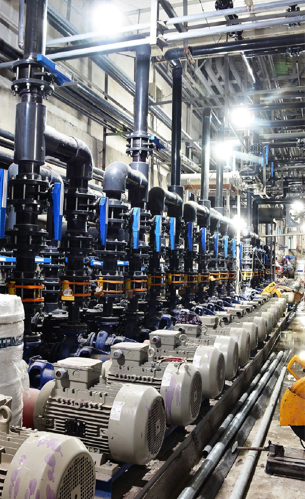 التأسيسات للمسبح التوأم في بابلسر التأسيسات للمسبح التوأم في بابلسر